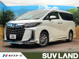 モデリスタエアロ ツインムーンルーフ 13.3型フリップダウンモニター