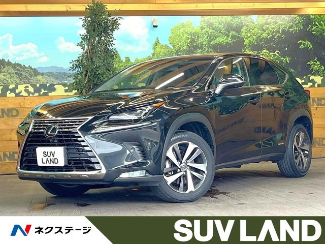 NX 300h バージョンL