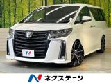 ツインサンルーフ BIG-X11インチ デジタルインナーミラー