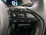 ステアリング右側のスイッチになります。全車追従機能付きクルーズコントロールが付いているので長距離運転も快適に運転できます。