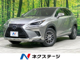セーフティシステム レーダークルーズ 禁煙車 電動リアゲート 革シート
