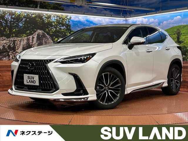 NX 250 バージョンL