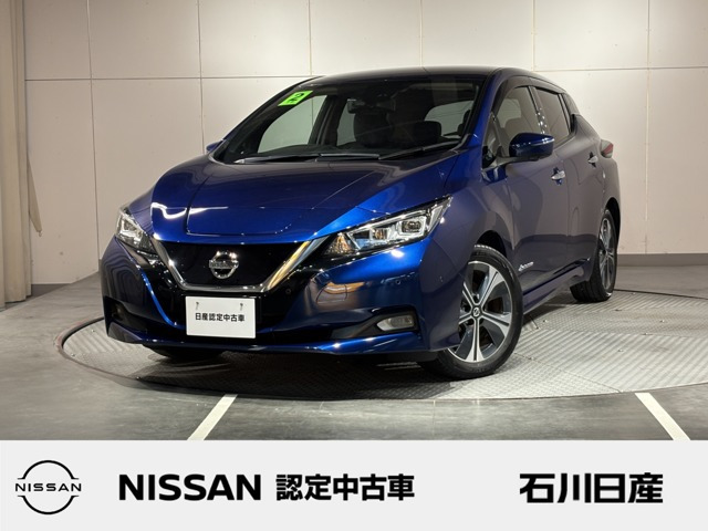 リーフ G