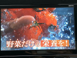 停車中には、お気に入りの番組や映像を楽しめます。長距離移動の休憩時間に、リラックスしたひとときを過ごせるのが魅力です。楽しいドライブのお供に最適です。
