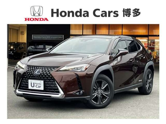 UX 250h ブラウン エディション 
