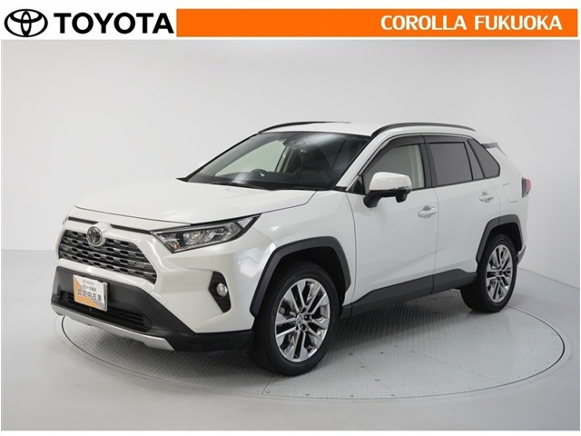 RAV4  2.0 G Zパッケージ 4WD