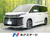 両側電動 純正10型ナビ 全周囲 ユニバーサルステップ AC100V