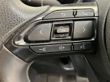 ステアリングスイッチ付き。前方から目を離すことなく操作することが可能です。