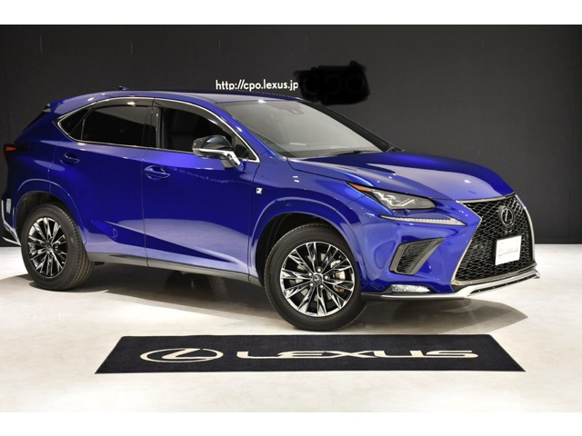NX 300 4WD クール&ブライト 4WD