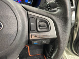 クルーズコントロールを装備しています。高速道路などで一定の速度で走ってくれるので運転が楽ですよ!速度を設定できますので、スピードの出しすぎにも注意できます。