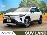 禁煙車 パノラマルーフ 10インチ純正ナビ バックカメラ 100V電源