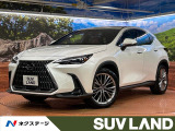 禁煙車 純正14型ディスプレイオーディオ 全周囲カメラ