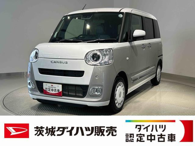 ムーヴキャンバス  ストライプス G