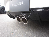 AutoExeのマフラーがついております