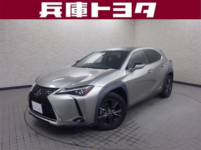 UX 250h バージョンC 
