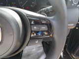 一定の速度(例えば100km)と設定しておけばその速度でずっと走ってくれる「クルーズコントロール」付です。例えば高速道路で設定すれば、アクセル踏まなくてもいいので楽ですよ!燃費も良くなります。