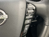 クルーズコントロールがついてます。