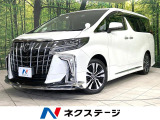 純正9型ナビ 両側電動ドア バックカメラ BSM 100V電源 フルセグ