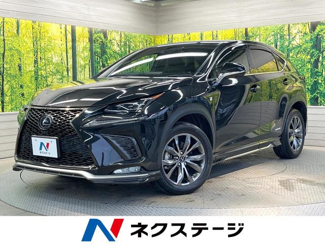 NX 300h Fスポーツ 
