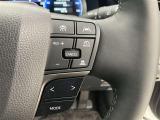 前方の車との車間を設定し、スピードを上げたり緩めたりを自動で行ってくれる追尾式の「レーダークルーズ」。上級装備の一つです!高級車にしかつかない嬉しい機能です。