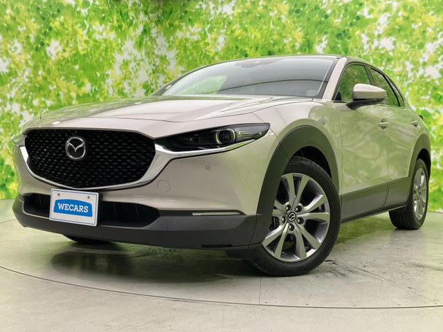 CX-30 2.0 20S プロアクティブ ツーリングセレクション 