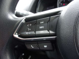 オーディオの音量やチャンネル操作ができるスイッチが、ハンドルに付いています。運転中でも、操作が行えて非常に安全・便利です!