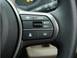 ◆アダプティブクルーズコントロール◆予め設定した車速内でクルマが自動的に加減速。前走車との適切な車間距離を維持しながら追従走行します。【LKAS】車線維持支援システムでステアリング操作を支援。