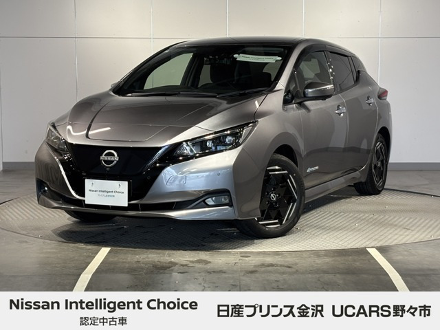 リーフ X