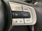 ハンドルにHondaセンシング系のクルーズコントロールやレーンキープアシストなどのスイッチが装備されています。ハンドルから手を離さず安全に操作できます。