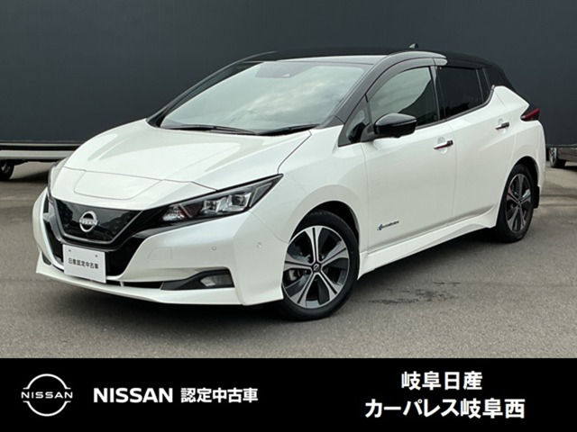 リーフ G