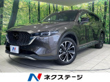 4WD ターボ ディーゼル(軽油) 純正10型ナビ 全周囲カメラ
