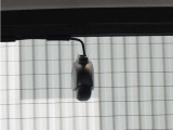 ◆リアにもドライブレコーダーを装備しております◆映像・音声などを記録する自動車用の装置です。もしもの事故の際の記録はもちろん、旅行の際の思い出としてドライブの映像を楽しむことができます。