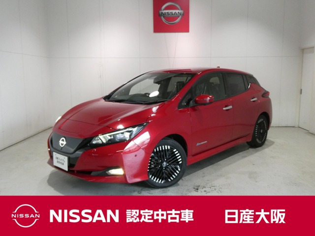 リーフ G
