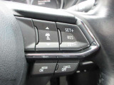 ステアリングスイッチで、先行車に自動追従するアダプティブクルーズコントロールが作動可能。設定した車速内での車間距離を自動で調整・維持。高速道路の渋滞時もアクセル・ブレーキ操作から解放されます。