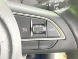 【クルーズコントロール】高速道路もラクラク走行。アクセルを離しても一定速度で走行ができ、長距離運転時の負担を軽減!加速・減速も簡単なスイッチ操作で調整できます。
