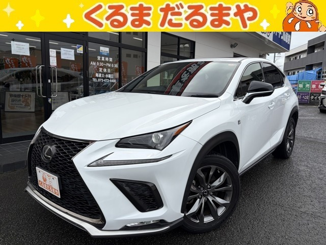 NX 300 Fスポーツ