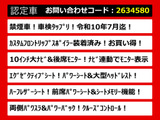 ヴェルファイア 2.5 Z Gエディション 10インチナビ リアモニタ 車検タップリ