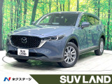 禁煙 純正10型ナビ 全周囲カメラ フルセグ ブラインドスポットモニター