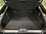積み下ろしのしやすい荷台にはたっぷりと荷物を積み込んでいただけます。遊びから仕事まで、様々なシーンで頼れます♪