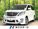 両側電動ドア BIG-X10型ナビ 後席モニター バックカメラ 禁煙車