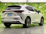 NX 250 バージョンL 