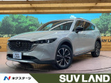 純正10型ナビ 全周囲カメラ スマートブレーキ 前席+中列シートヒーター