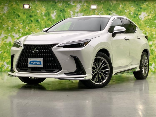 NX 250 バージョンL 