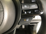 【ステアリングヒーター】車のハンドル部分を温めてくれて、寒い時期に手元を早く暖めることができます♪