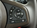 ◆アダプティブクルーズコントロール◆予め設定した車速内でクルマが自動的に加減速。前走車との適切な車間距離を維持しながら追従走行します。【LKAS】車線維持支援システムでステアリング操作を支援。