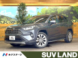 パノラマサンルーフ モデリスタサイドステップ 純正ナビ バックカメラ