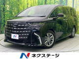 パノラマルーフ 純正14型ナビ 後席モニター 全周囲カメラ 両側電動ドア