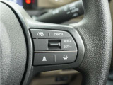 ◆アダプティブクルーズコントロール◆予め設定した車速内でクルマが自動的に加減速。前走車との適切な車間距離を維持しながら追従走行します。【LKAS】車線維持支援システムでステアリング操作を支援。