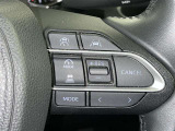 各操作スイッチなどもハンドルから手を放すことなく操作可能で安全運転に支援いたします!