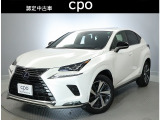 *こちらの商品は、埼玉県の方で、購入、納車の際に、来店いただけるお客様への販売に限らせていただきます。